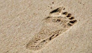 New capability of artificial intelligence in identifying the age and gender of footprints